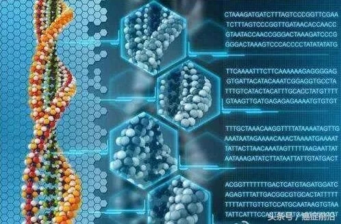 肺癌指南新成员 |全面解析免疫治疗肿瘤基因突变负荷（TMB）检测